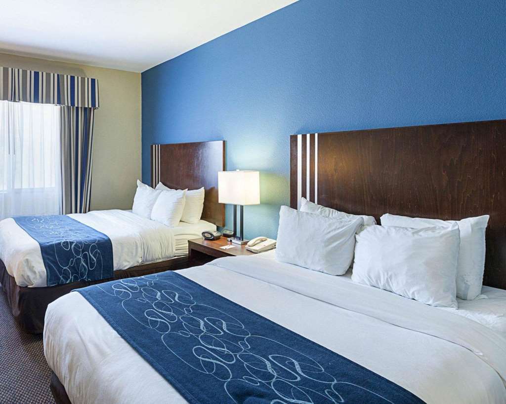 Comfort Suites San Antonio Airport North Rum bild