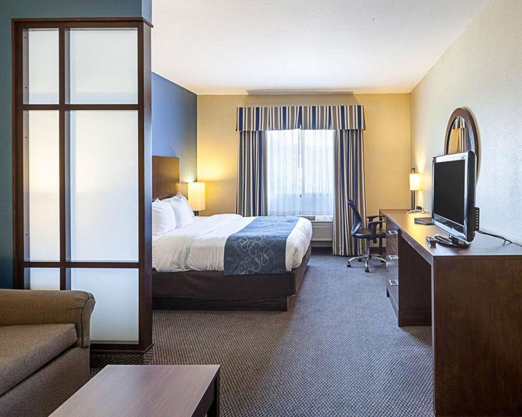Comfort Suites San Antonio Airport North Rum bild